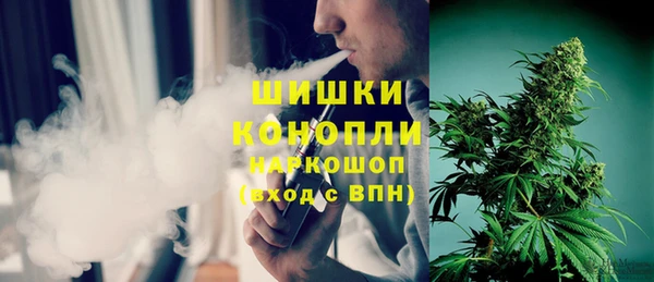 молекула духа Медногорск